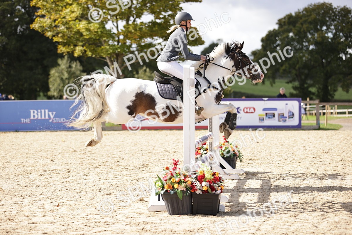 SBM_18473 - Supreme Championship