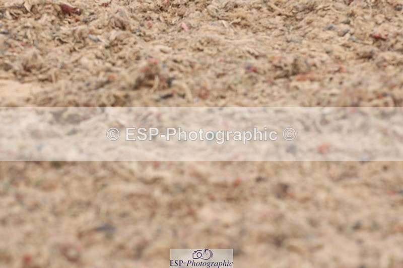 240622A-121113-09178 - Cls 30 BD Elementary 53