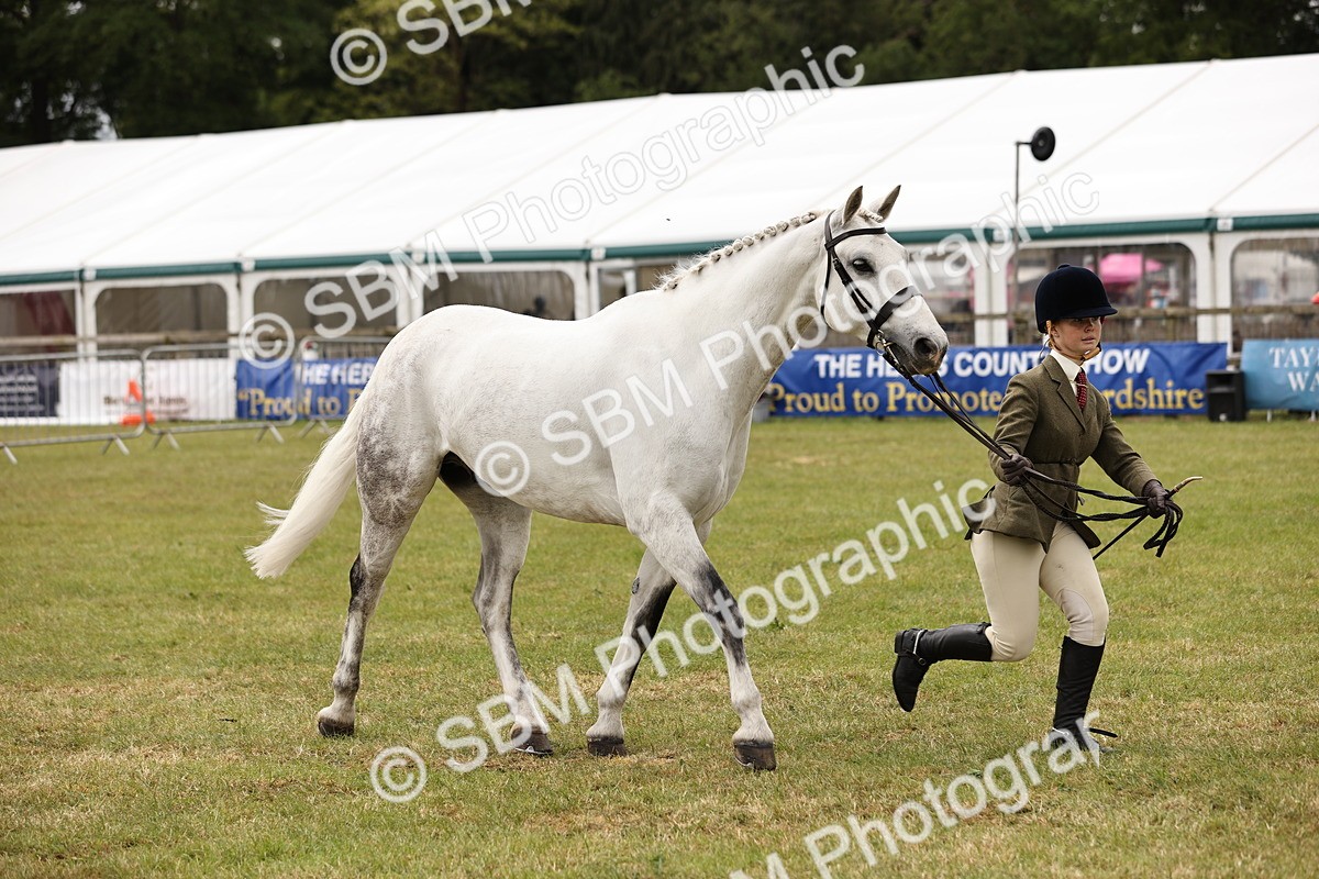 SBM_14618 - Class 88-89 - LIHS BSHA Rising Star of Ridden Hunter Type