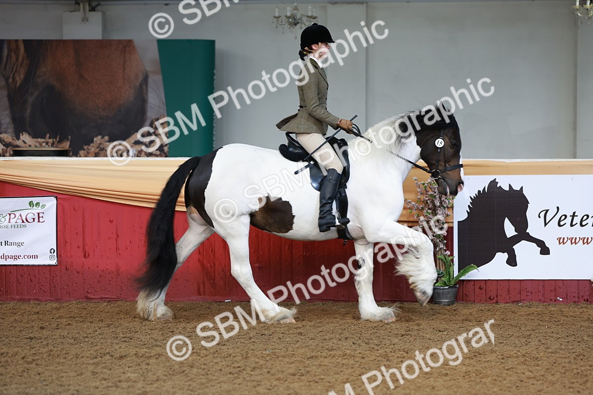 SBM_11820 - Class 102 - Equitation (Best Rider) Adult