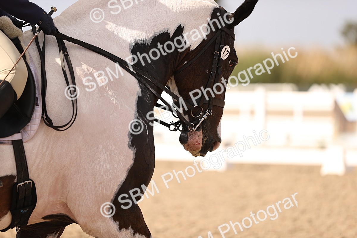 SBM_08106 - Class 39 Medium 3