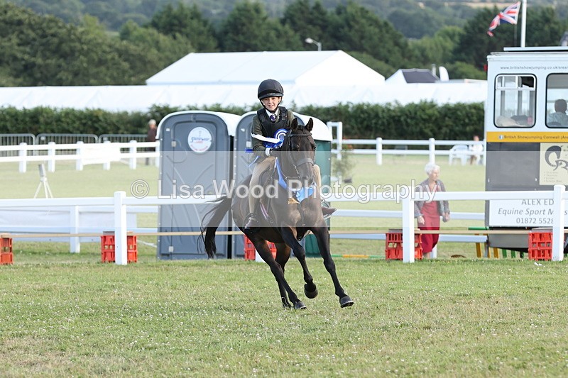 JPP_3791 - Working Hunter Championship