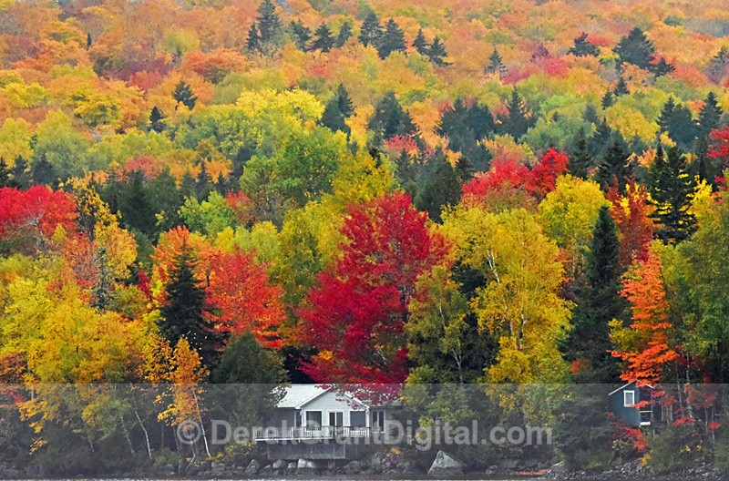 Autumn Foliage New Brunswick Canada Fall Color - Autumn Foliage