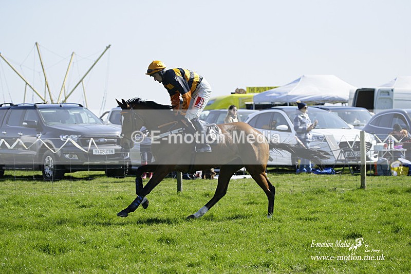 PtP 190322 155 - Wilton Hunt PtP Milborne St Andrew 19/03/22