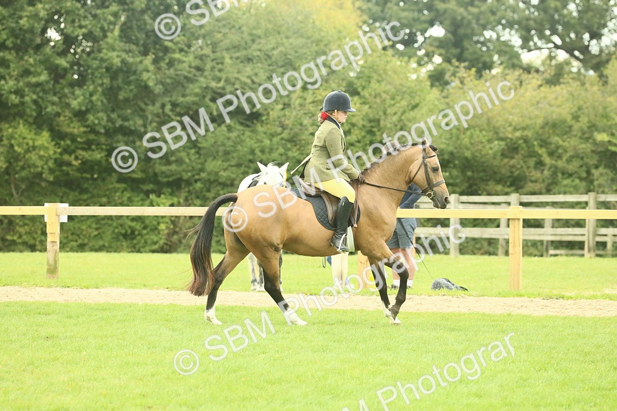 SBM_73960 - S 61 - Show Pony & Show Hunter Pony Ridden