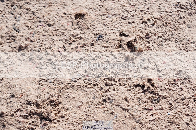 250427-094754-15385 - Cls 16 - 1 Star Bronze Tour