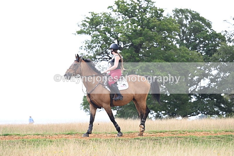 DSC_8341 - Time at Statue 13:52 to 14:33