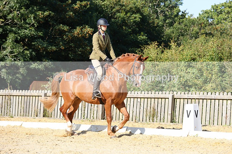 1X9A7705 - Class 9: Open Ridden Hunter