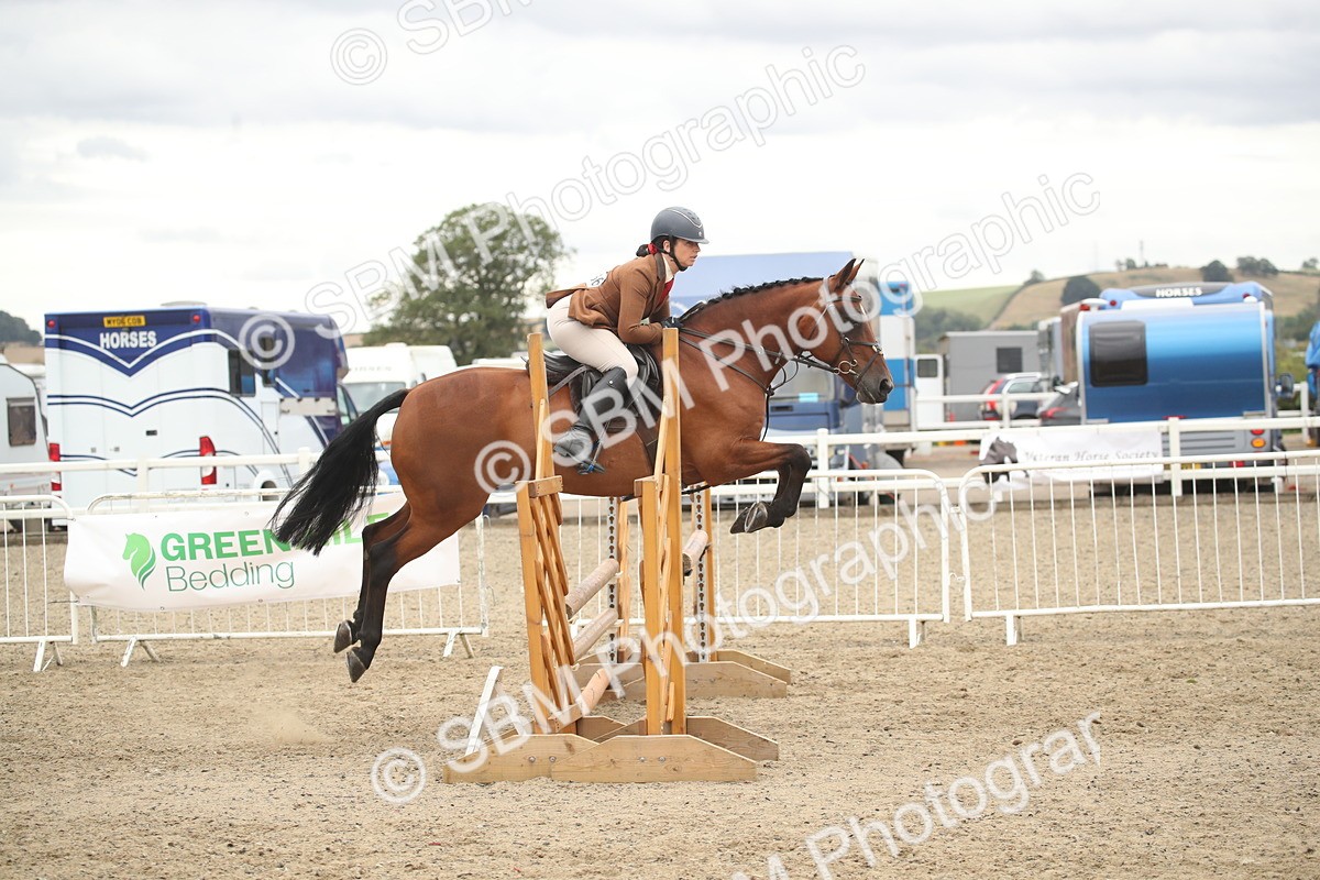 SBM_18499 - Class 510b - Working Veteran 90cm (20+)