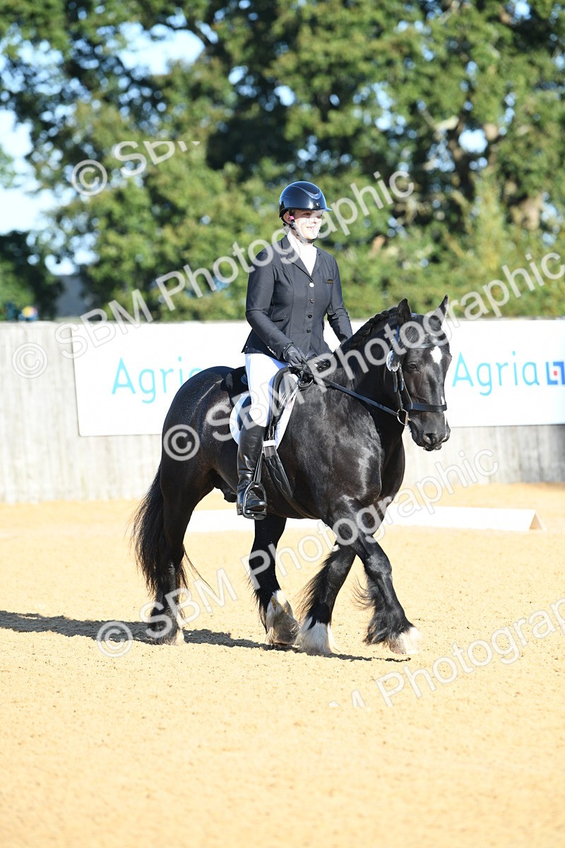 SBM_14491 - D4 - Small Tour Championship - Intro B