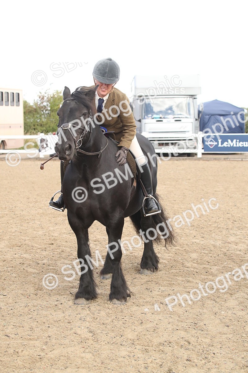 SBM_14584 - Class 505a - M&M Working Veteran - 50cm (15-19)