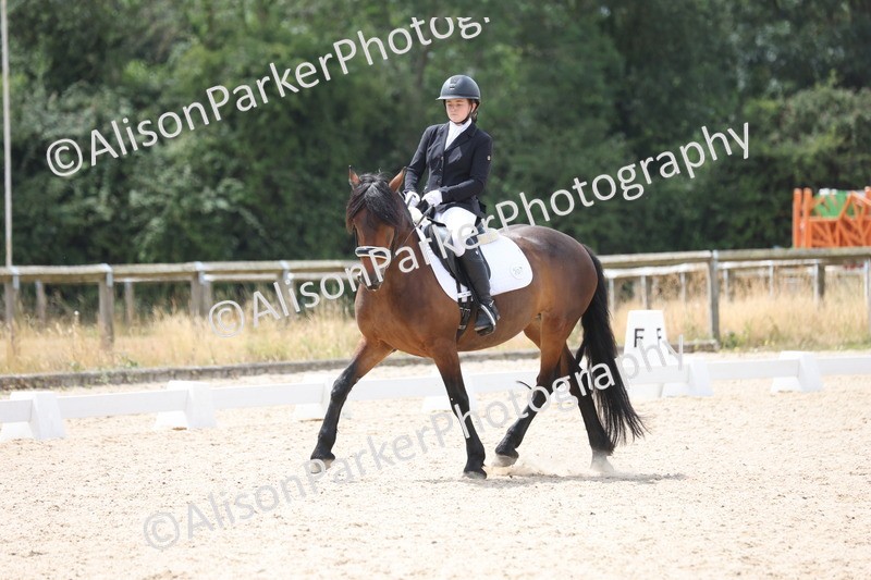 20250706-0464 - Class 17 - Elementary 5