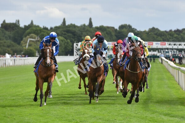 yr17082022r5-28 - Race 5 4.10pm Sky Bet Stayers Stakes