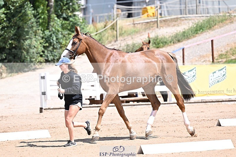 250716-123824-00077 - Trot Up 12.30 to 1.30