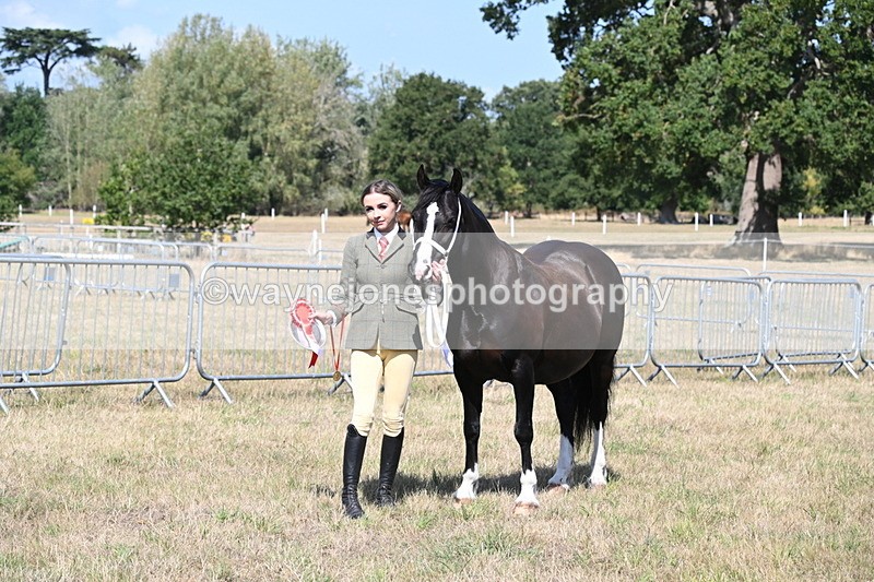 WJ6_5016 - Class 17 Mountain & Moorland