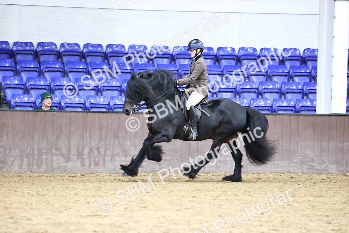SBM_6551 - Class 43 - Ridden Native Breeds