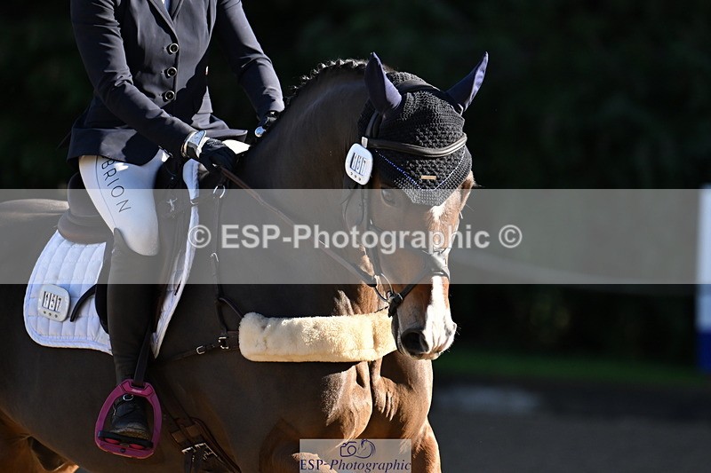 251024A-110248-06669 - B-157-Anna.Cheney