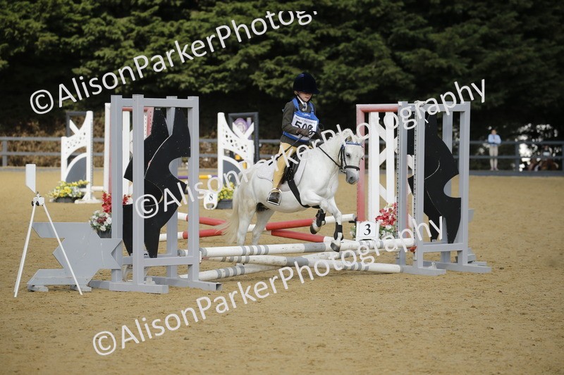 20250622-1220 - 40cm