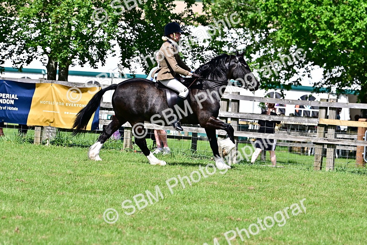 SBM_08030 - Class 61-62 - TSR  M&M Ridden Amateur of the Year