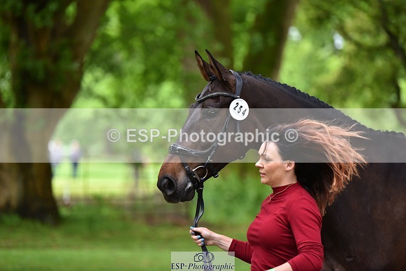 240522-172130-01548 - 254-KILBUNNY_RIOJA-Kate_Penny