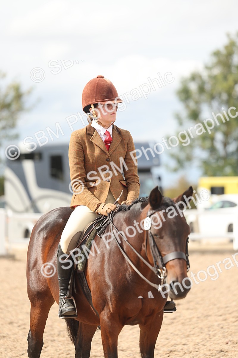 SBM_18029 - Class 314 - Family Horse Pony