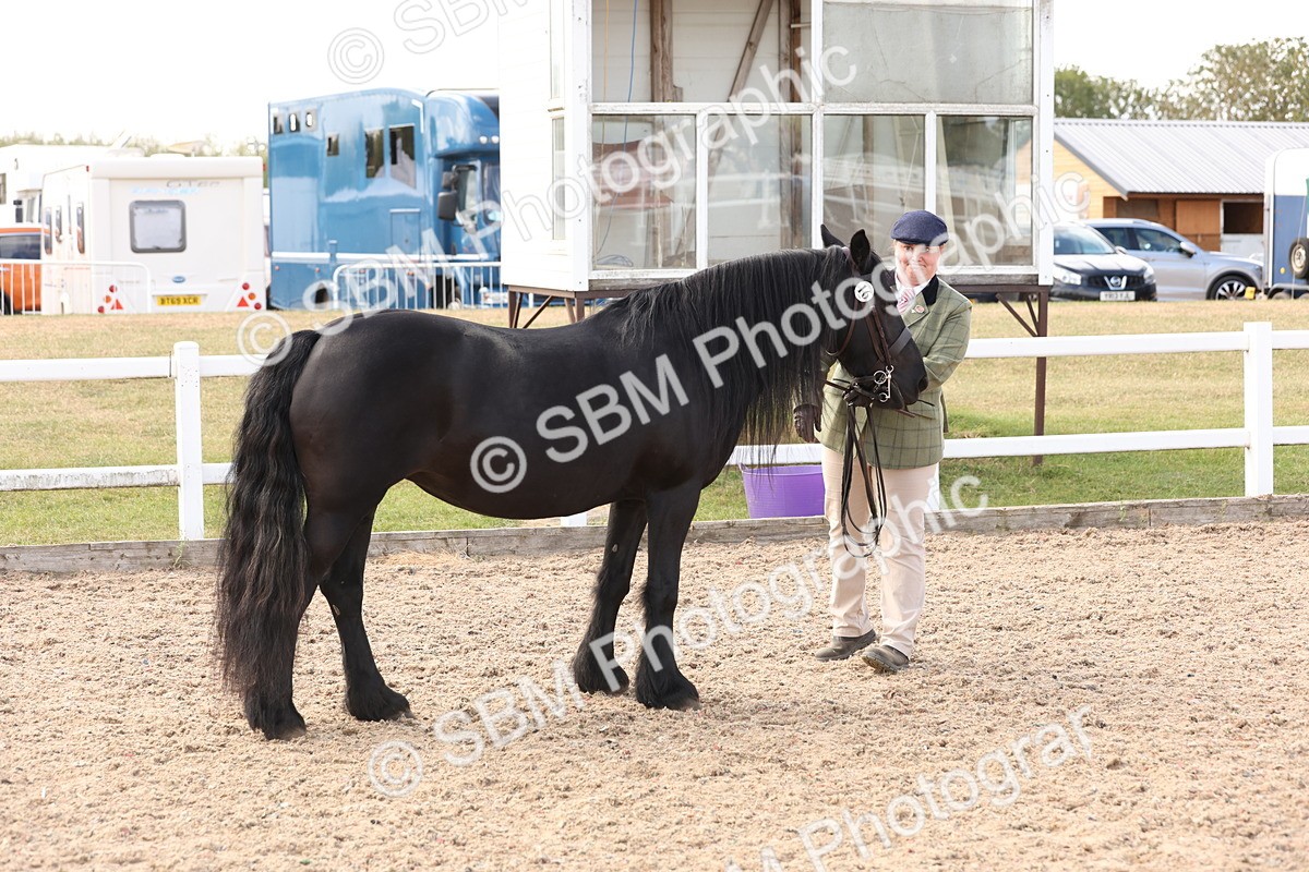 SBM_15078 - Class 209 - IH Veteran Pony