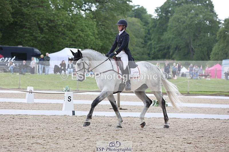 240524-141955-09713 - 281-UNSTOPPABLE_VAN_'T_CRAEYNEST_Z-Valentine_Emsens