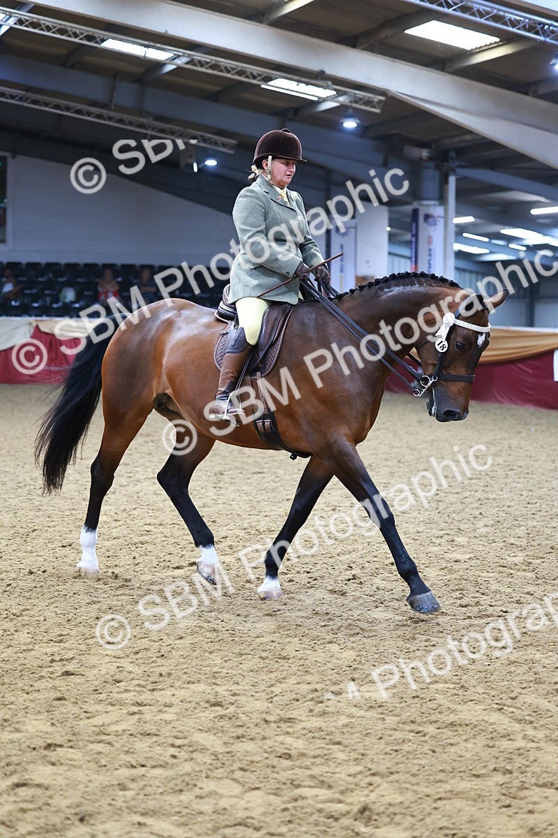 SBM_23380 - class 906 - Supreme Final - Ridden Pre Vet