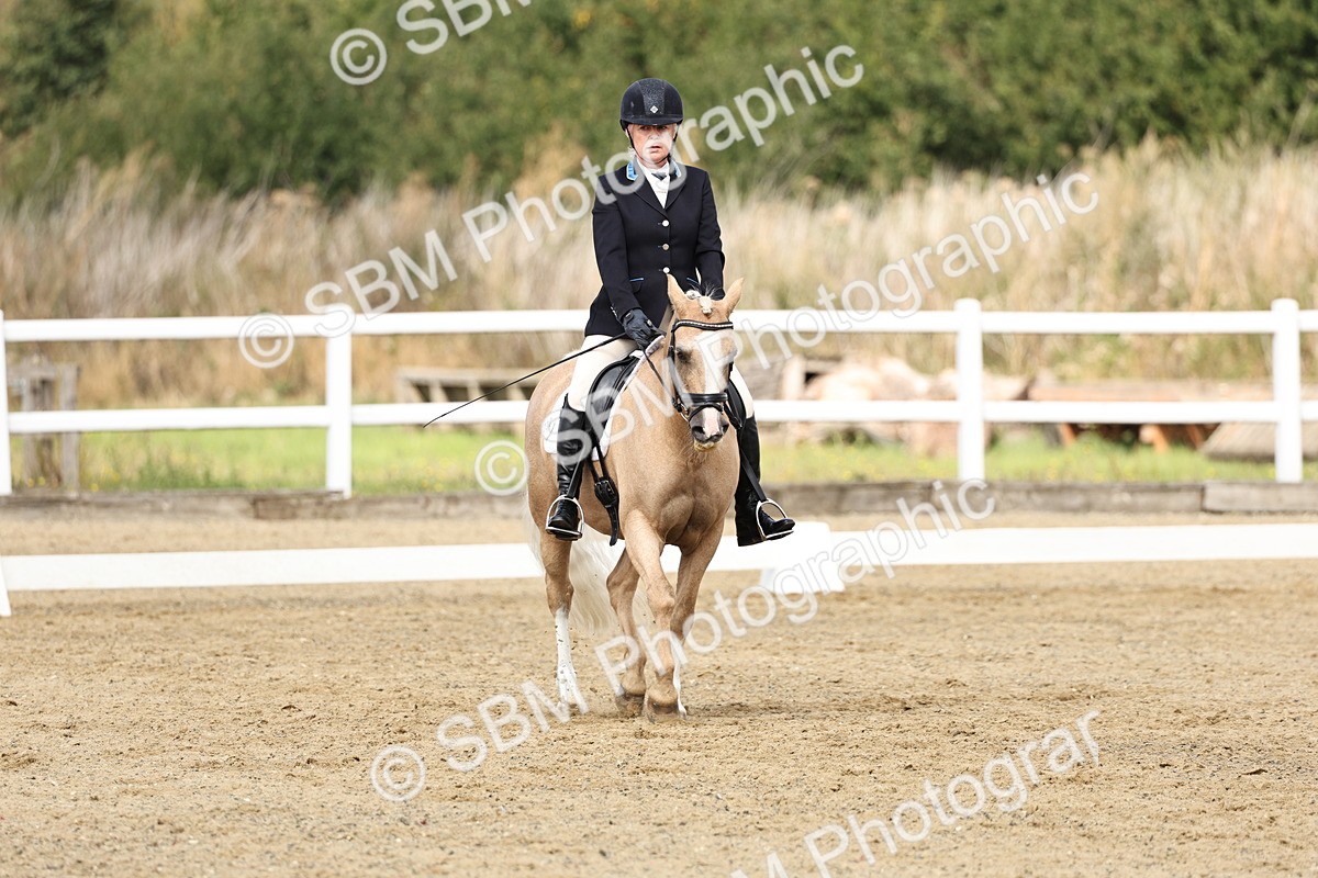 SBM_018219 - Class 16 - Novice 5 - 11.12-12.01