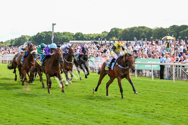 140625-Race 4-Hucklesbrook-2815 - Race 4 3.35pm Churchill Tyres Supporting Macmillan Sprint Handicap