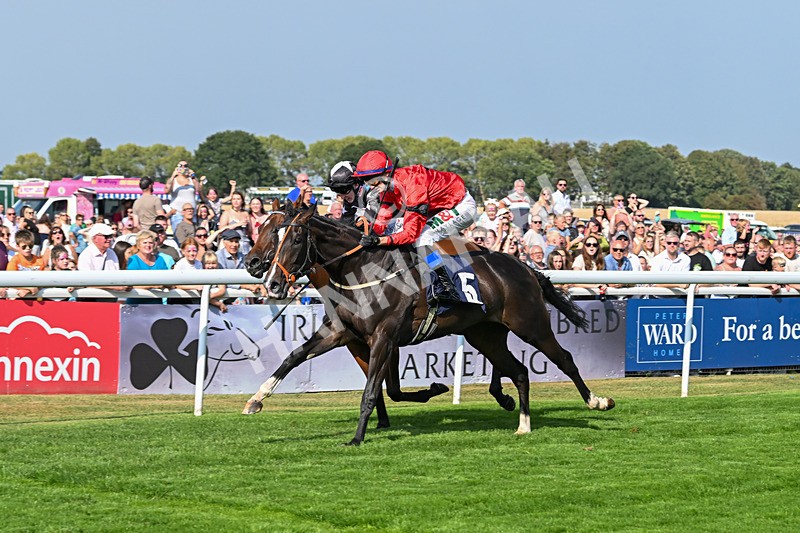 240825-Race 4-Lady Hornblower-2995 - Race 4