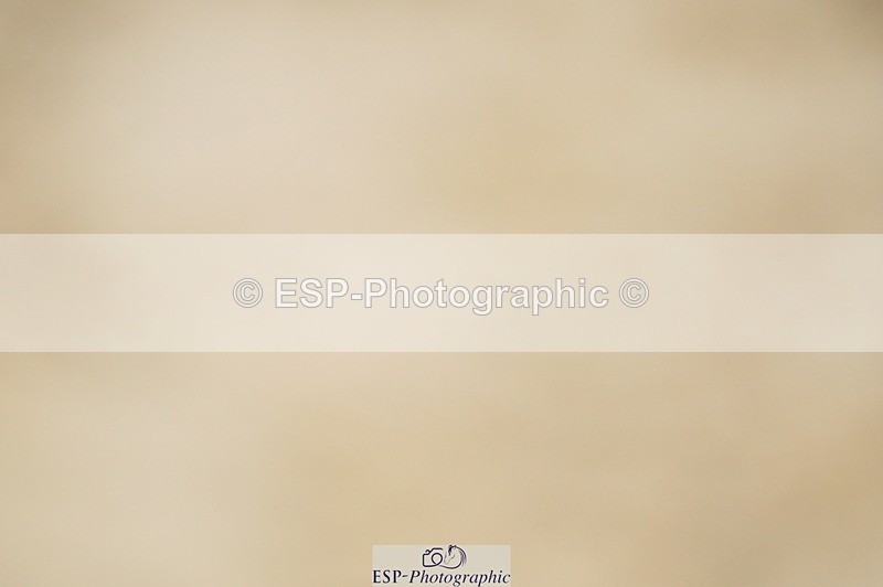 240309-111454-00309 - Cls 01 AE 70cm