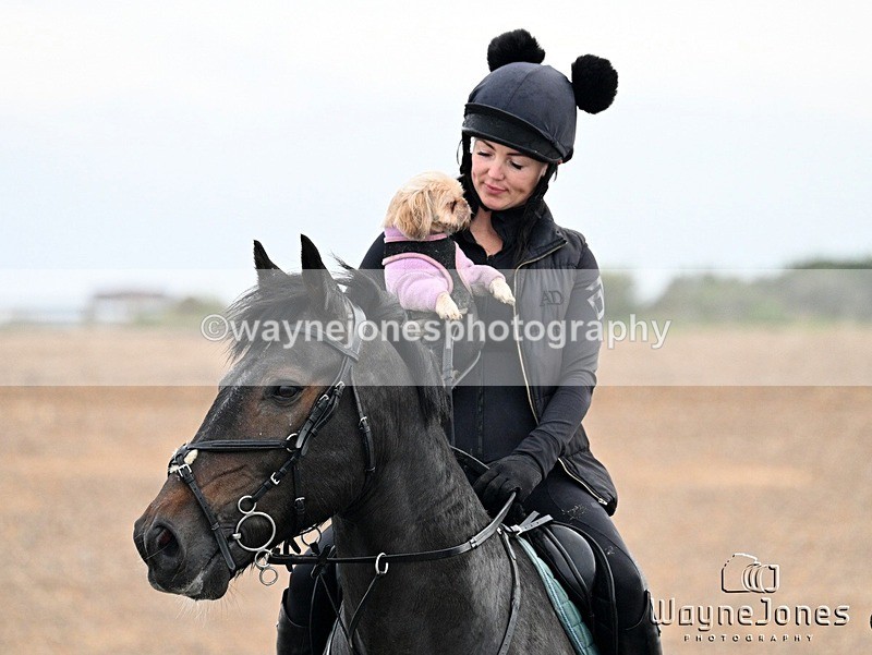 WJ7_9628 - Hayling Island Beach Shoot 22-09-24