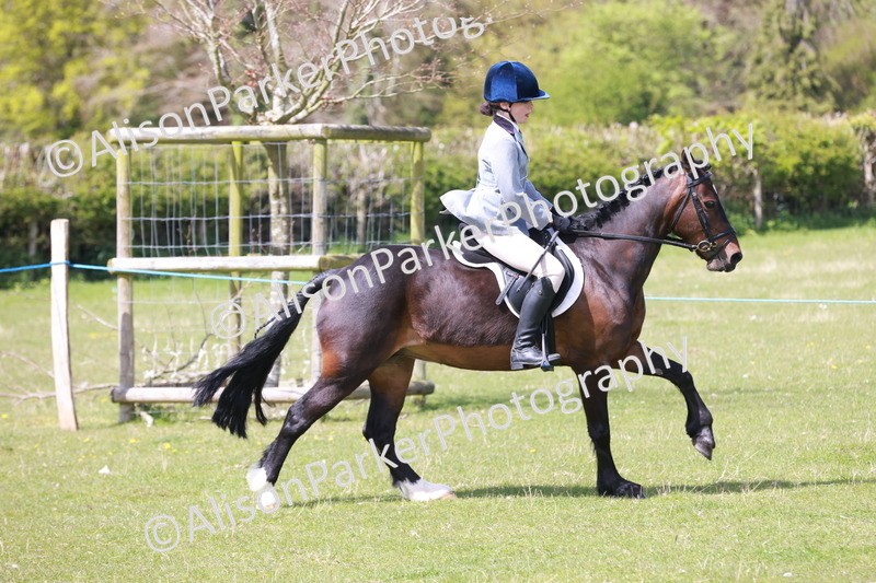 20240421-5336 - Tackley 2024 - Alice