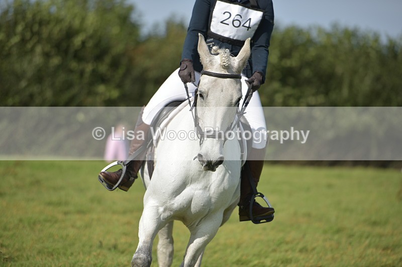 RAY_8107 - Class 2B: Trekenning Open: Dressage