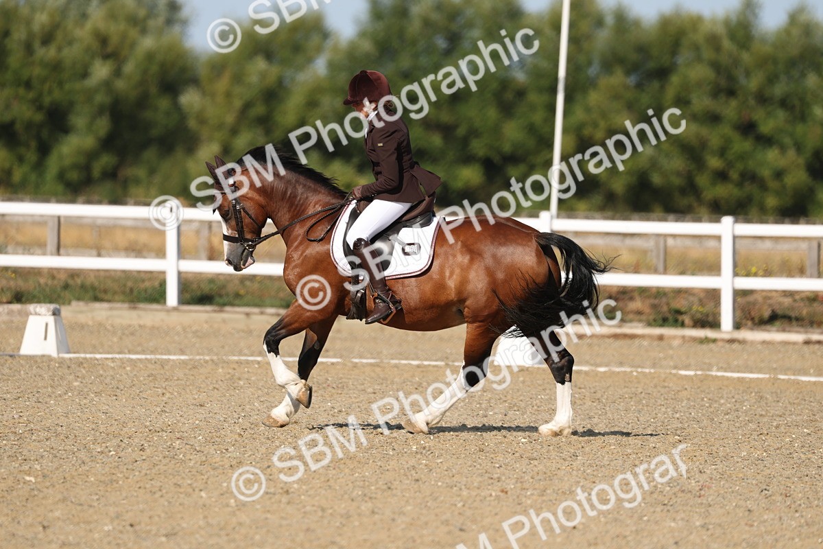 SBM_012797 - Class 1 - P5 Bronze 9.00.10.12
