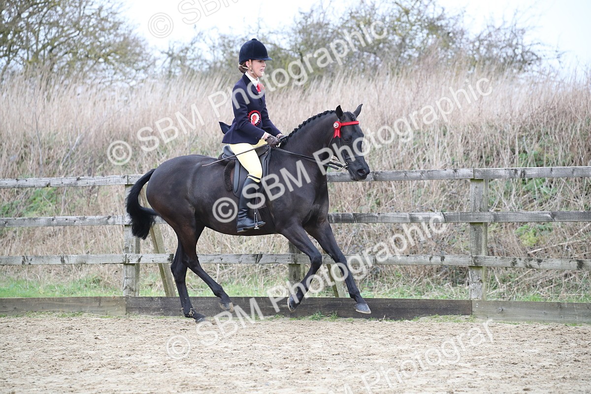 SBM_004793 - Class 5-9 - NPS In Hand-Show Hunter-Intermediate Ridden Inc Ridden Championship