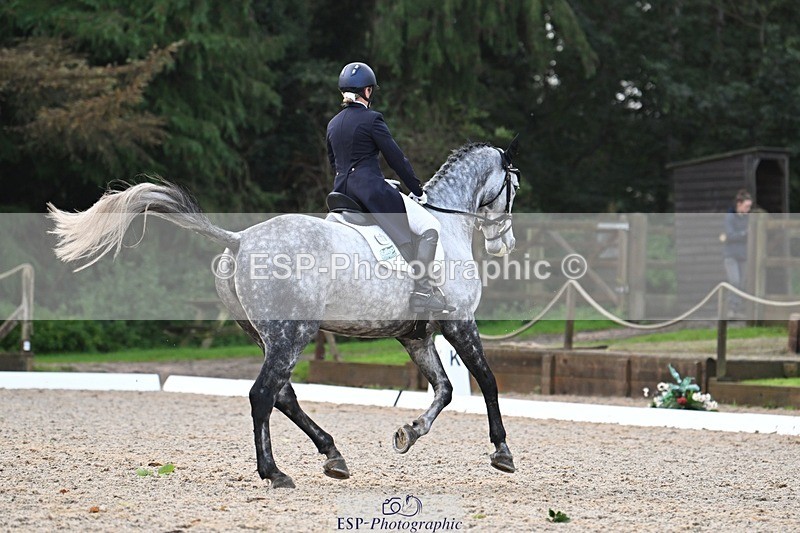 231019-095048-01234 - 028-BOLEYBAWN.COOLEY.LADY-Claire.Fielding-DR