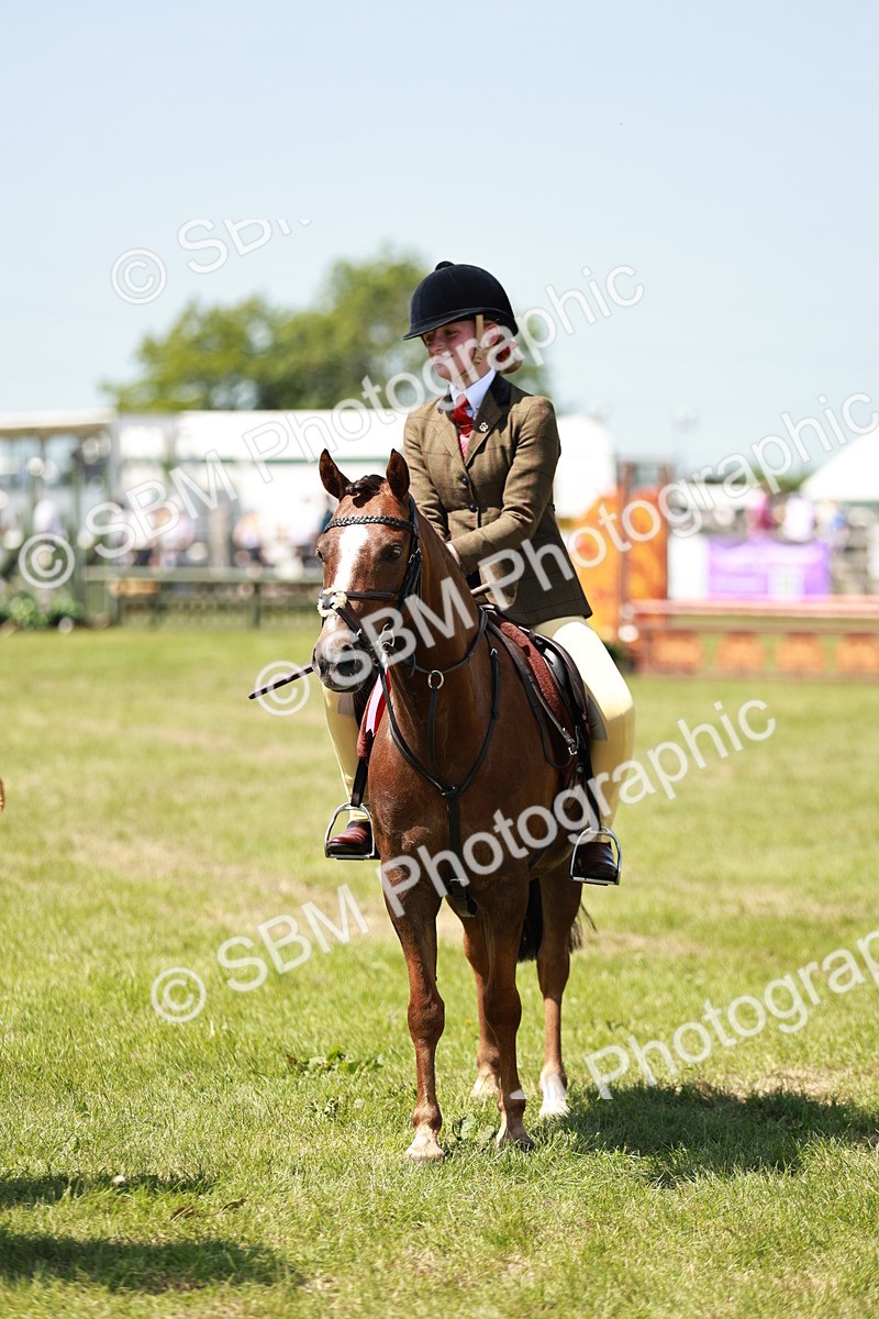 SBM_15741 - Class 108-109 - BSPS LIHS Open Gradle & Nursery Stakes