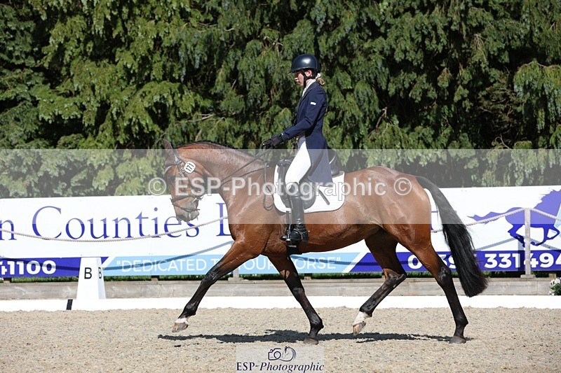 230526-162452-07815 - 171-SLANEYSIDE_COOLEY-Lara_Chapple-WEDTrotUp+DR