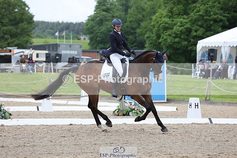 240523-104352-03389 - 214-DSH_GOLDEN_EYE-Lucinda_Mesquita