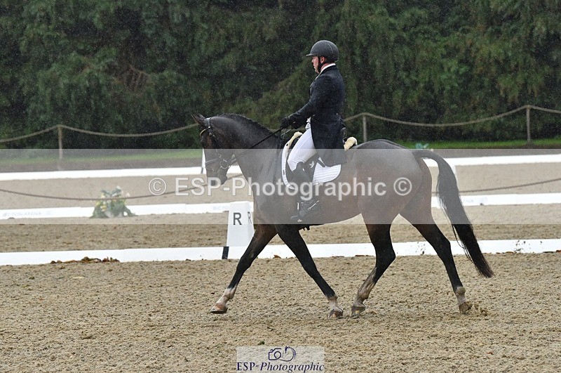 231018-153558-00822 - 011-BIG.QUERLYBET.K.Z-Paul.Whitehead-DR