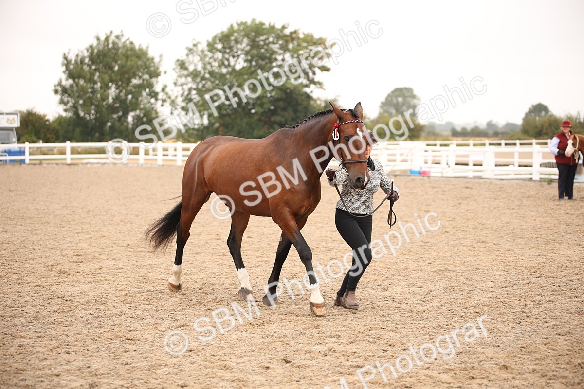 SBM_22136 - Class 707 - Ridden Groom-Helpers Class