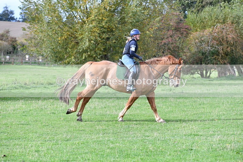 WJ5_0466 - Time 13:59 to 14:28