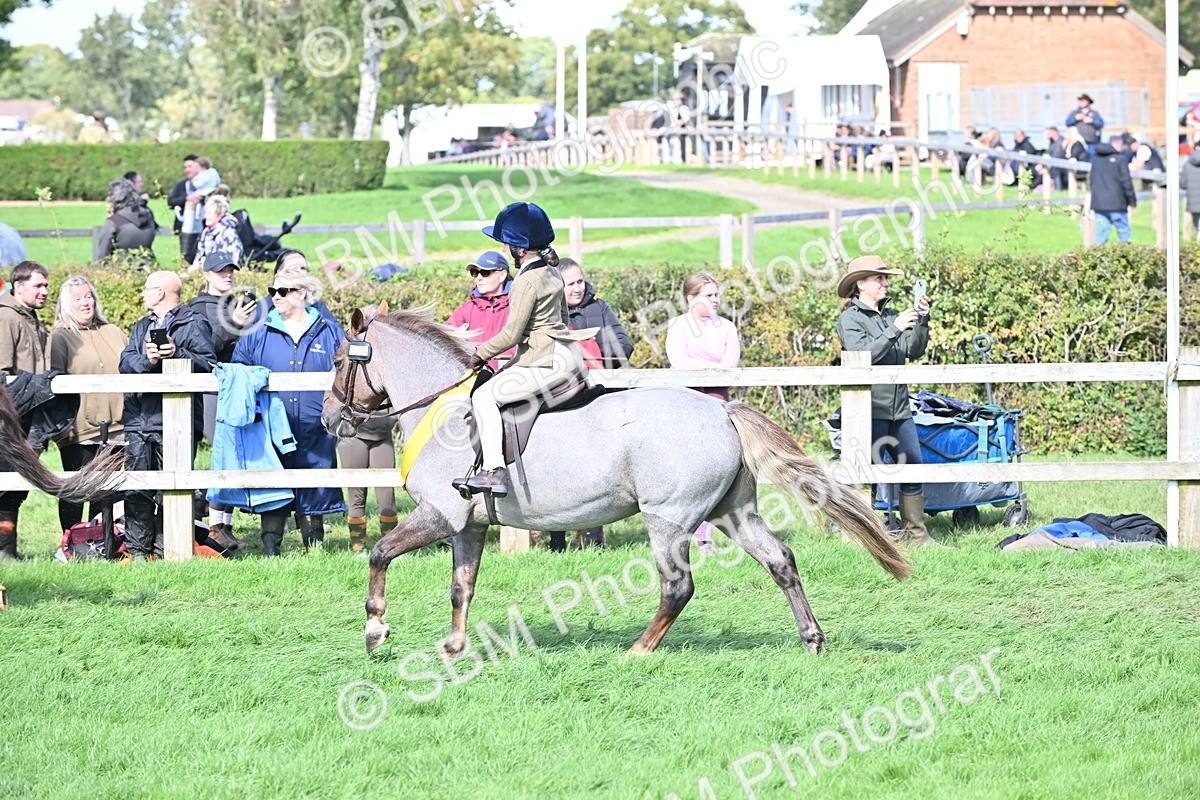 SBM_44608 - S13 - Pony Club Pony