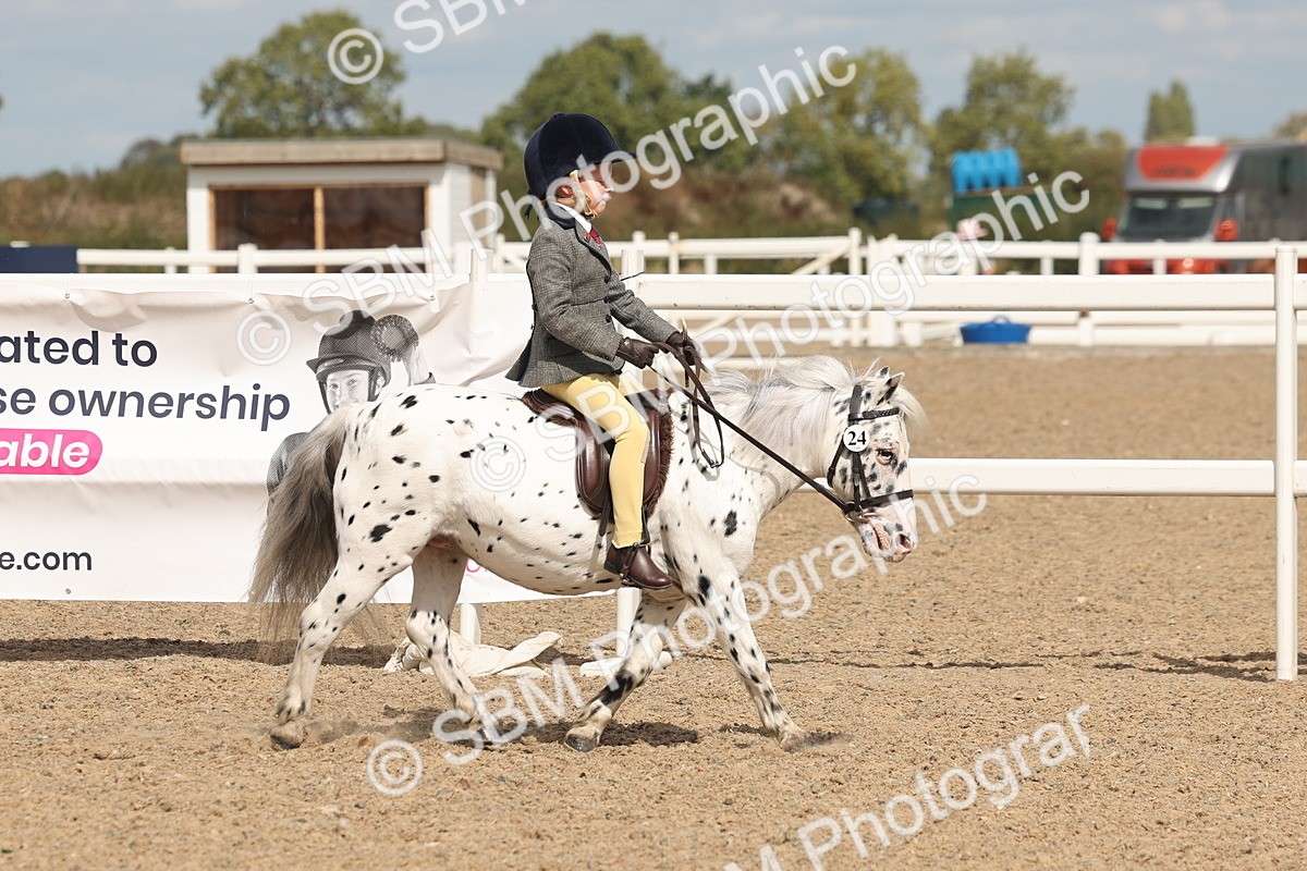 SBM_15876 - Class 310 - First Ridden Pony