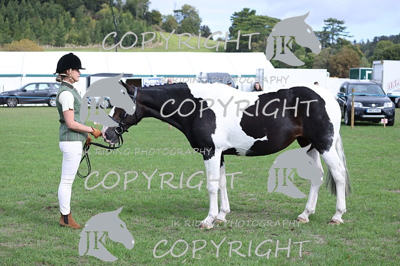 APP_2649 - Class 9 Veterans in hand