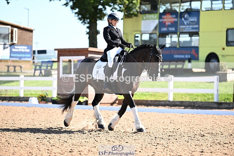 240816A-101403-03775 - 148-Donna.Willis-Cerrighedd.Yago