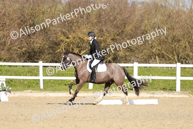 20260314-4352 - DR4 - Prelim 2