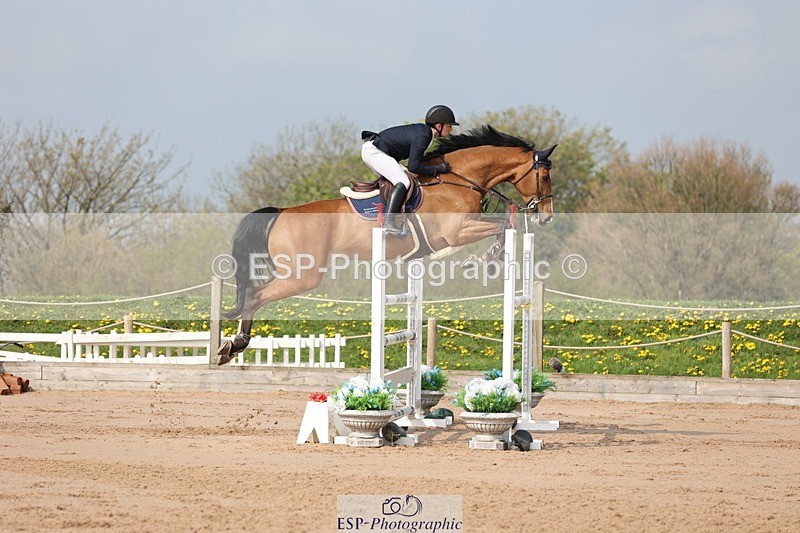 250424-103606-03121 - Cls 33 Young Horse 7yr old